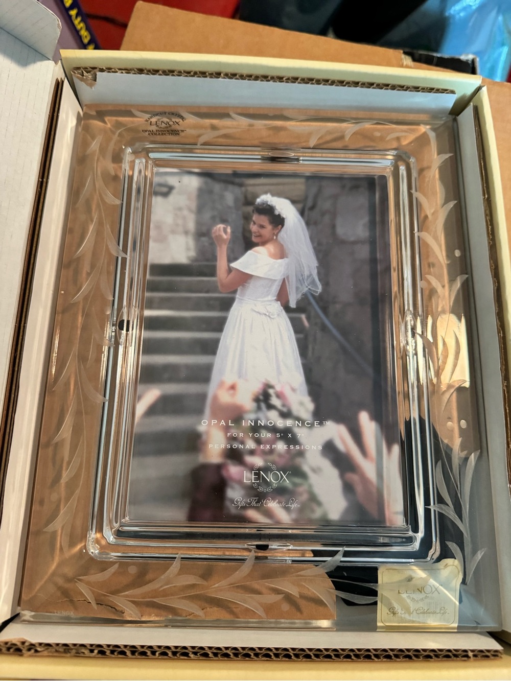 Lenox Clear Etched Glass Picture Frame with Frosted Leaf Motif